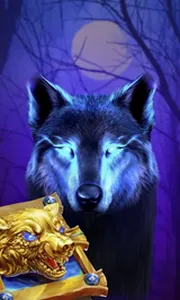 Book Of The Night Wolf