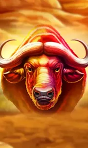 Buffalo Hold and Win Extreme